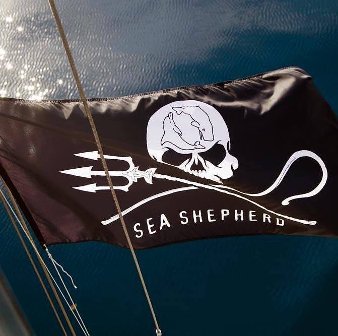 Indosole x Sea Shepherd